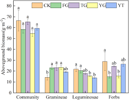 Image result for Polygala melilotoides