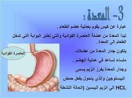 فالمتعارف عليه عند علماء الصرف أن أثقل الحركات (وقد يقال: Ppt Ø§ÙØ¬ÙØ§Ø² Ø§ÙÙØ¶ÙÙ Powerpoint Presentation Free Download Id 5147714