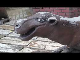 Video pertunjukan haiwan yang sangat2 menghiburkan. 10 Perkara Yang Anda Boleh Belajar Daripada Haiwan Di Zoo Negara Youtube