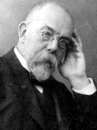 Robert Koch and the â€˜golden ageâ€™ of bacteriology