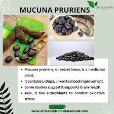 Image result for Fadogia tomentosa