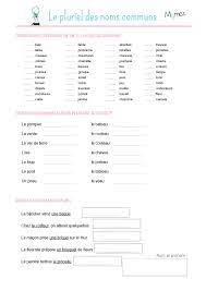 Imprimez ces exercices afin de vous entraîner à bien orthographier le  pluriel des noms communs. | Pluriel des noms, Le pluriel, Exercice ce2