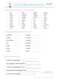 Exercice Le Pluriel Des Noms Communs Pluriel Des Noms Le Pluriel Exercice Ce1