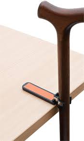 To stand up and walk: Cane Holder