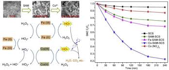The beautiful thing about learning is nobody can take it away from you. Efficient Degradation Of Sulfamethazine In Simulated And Real Wastewater At Slightly Basic Ph Values Using Co Sam Scs H2o2 Fenton Like System Sciencedirect