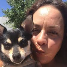 Tampa Bay Veterinarians