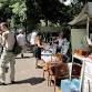 Packwood Flea Market