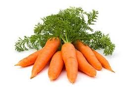 They grow under the ground , and. What Do Carrot Sprouts Look Like Carrot Growing Guide Fallsgarden