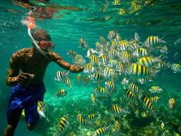 Port Antonio Jamaica A Perfect Snorkeling Location While On Your Holiday Greathuts Snorkeling Jamaica Travel Jamaica Vacation Jamaica