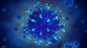 Herpes Simplex Virus 1 Lysate Antigen The Native Antigen Company
