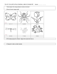 Plansele contin jocuri si activitati matematice interesante cu ajutorul carora copiii aprofundeaza si consolideaza cunostintele de matematica (sa numere si sa scrie numerele pana la 20, sa identifice numarul si vecinii sai, figuri si. Doc Fise Evaluare Initiala Grupa Mare Daniela Mei Rosu Academia Edu