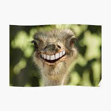 It S Friday Poster By Bigredcurlyguy Redbubble