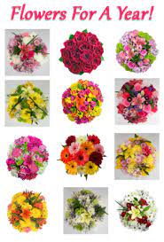 Year of flowers is delivered the first or third week of each month. Flowers For A Year Monthly Flowers For A Year In Saskatoon Sk Quinn Kim S Flowers