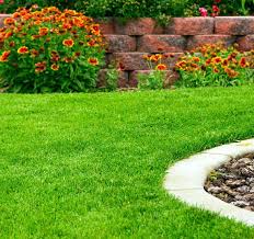 Since 1996 dreamlawns has been providing the best lawn care services and customer service in tidewater. Best Lawn Service Near Me