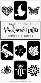 Visual Stimulation For Your Infant Baby Flash Cards High Contrast Images Sensory Images