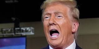 Trump’s Big New ‘Cognitive’ Boast Falls Apart In Front Of His Own Audience (huffpost.com)