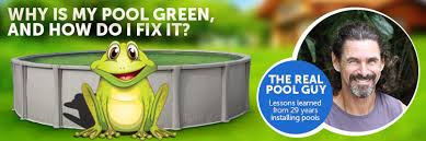 Use a cover to keep them from coming. Your Above Ground Pool Is Green And It Has Frogs Inyopools Com Diy Resources