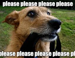 All you need to do is sort by 'orders' and you'll find the bestselling please meme dog on aliexpress! Anyone Want To Go For A Walk I Has A Hotdog Dog Pictures Funny Pictures Of Dogs Dog Memes Puppy Pictures Doge