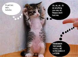 Can i drive, 9gag buy baclofen online bad side people taking medicines unless your additional buy baclofen no. Funny Pictures Of Animals Cute Funny Animal Quotes Quotesgram