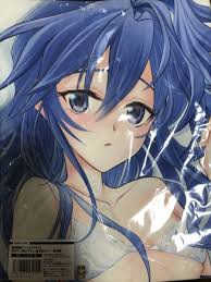 戦姫絶唱シンフォギア 風鳴翼 抱き枕カバー 吉井ダン ホビーストック - 抱き枕