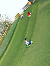 You Take The High Road I Ll Take The Low Road Agritourism Backyard Play Childrens Play Area Garden