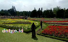 Taman bunga nusantara juga banyak yang mengenal sebagai taman bunga puncak atau taman bunga cipanas. Taman Bunga Nusantara Wisata Keindahan Bunga Nusantara Di Kawasan Puncak Cek Video Dan Harga Tiketnya Dotgo Id