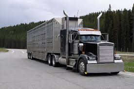 Maybe you would like to learn more about one of these? Senate Bill Would Ease Livestock Trucking Limitations Proag