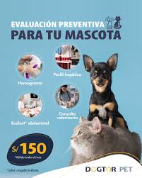 DogtorPet Clínica Veterinaria