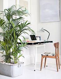 Debbie Travis Improve Home Office Energy Using Feng Shui Guidelines Times Colonist