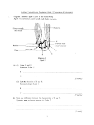 Jawapan Biologi Tingkatan 4 Kssm Anirasota