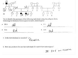 Talking about pedigree worksheet with answer key, below we will see various similar pictures to give you more ideas pedigree worksheets with answer pedigree worksheets with answers pedigree chart worksheet answers pedigree worksheet 3 answer key pedigree worksheet with answers. Pedigree Worksheet Biology Answers Promotiontablecovers