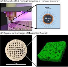 A Schematic Representation Of 3d Printed Hydrogel Dressing Download Scientific Diagram