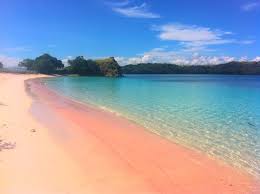 Flores island is a remarkable destination amidst the indonesian archipelago. Pink Beach Flores Indonesia I Ve Been There It Is Very Beautiful Beauty Places Places To Visit Paradise Places