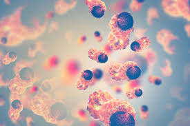 Image result for Hematologic Cancer