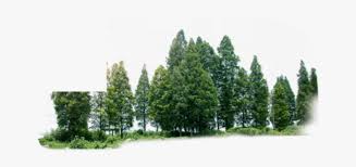 Treeline Tree Line Trees Transparent Green Forest Png Free Transparent Clipart Clipartkey Free forest transparent png images. treeline tree line trees