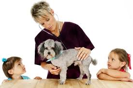 If your animal is admitted for diagnosis or treatment for estimates that exceed $3000, a deposit of 100% of the lower end of the estimate will be expected at the time of admission. Pet Wellness Exam Low Cost Veterinarian Humane Vet Hospital Of San Diegolow Cost Veterinarian Humane Vet Hospital Of San Diego