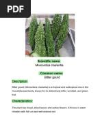 Image result for Momordica corymbifera