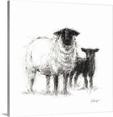 Charcoal Sheep Study Ii In 2021 Sheep Art Sheep Illustration Art