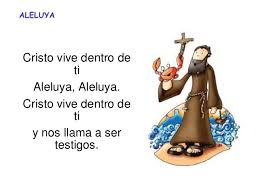 Biografía De San Francisco De Asís Resumen Pin On Franciscanos De Corazon