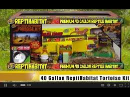 Zoo Med 10 Gallon Reptihabitat Leopard Gecko Kit Youtube Zoo Med Turtle Care Tortoise