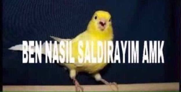 Kadıköy'de, 'Vura vura vura, kıra kıra kıra, şampiyonluk ...