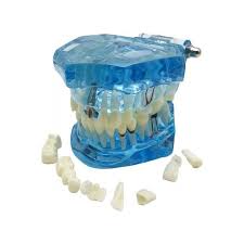 Image result for ochrana chrupu