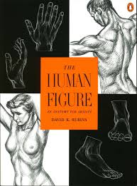 Anatomy is a branch of natural science which deals with the structural organization of living things. Amazon Com The Human Figure An Anatomy For Artists 9780140042436 Rubins David K Books