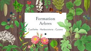 L'arbre à papillons : un arbre qui trompe énormément