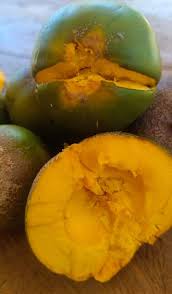 Image result for Pouteria