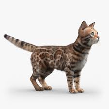 Bengal Cat Fur By Cgmobile You Can Buy This 3d Model For 249 On Https Www Cgtrader Com 3d Models Animals Mammal Bengal Cat Fu Bengal Cat Cats Cat Fur