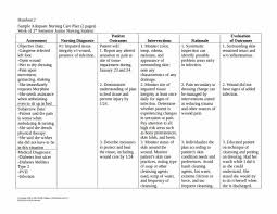 10 best free printable medication log sheets. Free 16 Patient Care Plan Templates In Pdf Ms Word