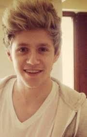 Crazy Love (Niall Horan & tu)