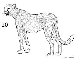 For boys and girls, kids and adults, teenagers and toddlers, preschoolers and older kids at school. How To Draw A Cheetah Step By Step Pictures