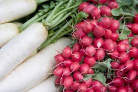 These could harm your squash birds, squirrels, rabbits, & chipmunks: Which Vegetables Grow Well Together Lovetoknow